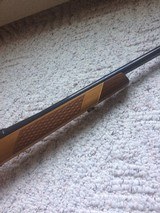 Sako 243 Deluxe L579 with rare stock - 4 of 7