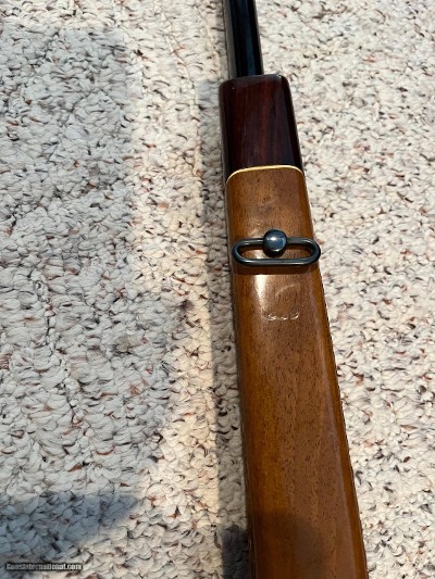 SakoL61RFinnbearDeluxe7x64 - Image 10 of 15