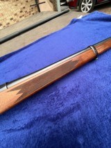 SakoAIII243 Winchestermannlicheroil finish - 10 of 11