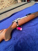 SakoAIII243 Winchestermannlicheroil finish - 9 of 11