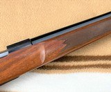 Sako
S491 Vixen
heavy barrel Repeater
not a single shot
17 Remington - 11 of 13