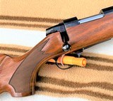 Sako
S491 Vixen
heavy barrel Repeater
not a single shot
17 Remington - 10 of 13