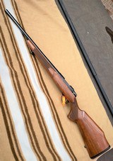 Sako
S491 Vixen
heavy barrel Repeater
not a single shot
17 Remington