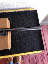 Winchester Model 12 Pigeon Skeet NIB - 12 of 17