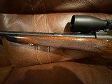 Winchester Pre 64 Model 70 22 Hornet Super Grade - 9 of 14