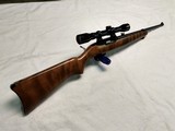 Ruger 10/22 Rifle - 1 of 10