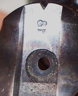 Colt Single Action Army SAA 5.5” .45 LC c. 1901, Factory Refinished - 14 of 15