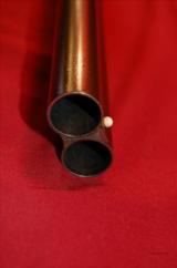 Excellent 1892 Greener Hammaerless 12 gauge- 4 of 9