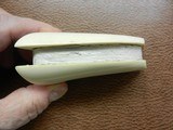 One pieceIvory Grips for Colt SAA - 5 of 11