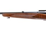 WINCHESTER MODEL 70 FEATHERWEIGHT PRE 64 243 - 12 of 14