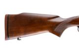 WINCHESTER MODEL 70 PRE64 300 H&H - 10 of 10