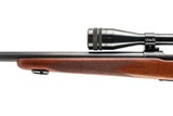 WINCHESTER MODEL 70 PRE 64 VARMINT 243 - 7 of 10