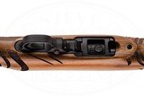 RUGER 10/22 WILD HOG EDITION 22 LR - 10 of 17