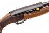 RUGER 10/22 WILD HOG EDITION 22 LR - 5 of 17