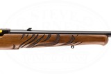 RUGER 10/22 WILD HOG EDITION 22 LR - 11 of 17