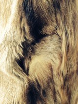 Cowboy -Hunter-Trapper- Frontiersman Fur coat - 6 of 7