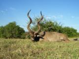 Outdoor Escapes is offering - Image 1 of 1