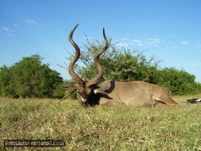 Outdoor Escapes is offering - Image 1 of 1