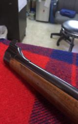 Kimber of Oregon - 10 of 11