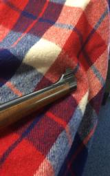 Kimber of Oregon - 4 of 11