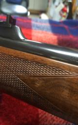 Kimber of Oregon - 8 of 11