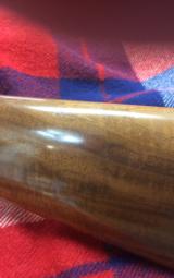 Kimber of Oregon - 6 of 11