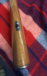 Kimber of Oregon - 11 of 11