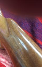 Kimber of Oregon - 5 of 11