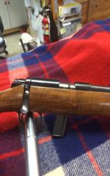 Kimber of Oregon - 3 of 11