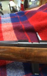 Kimber of Oregon - 9 of 11