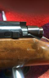 Kimber of Oregon - 7 of 11