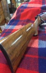 Kimber of Oregon - 2 of 11