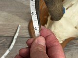 Wyoming Pronghorn - 2 of 2