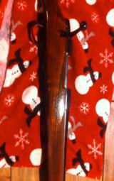 Sako Classic AII .243 Win - 3 of 5