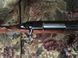 Winchester Model 70 - 4 of 9