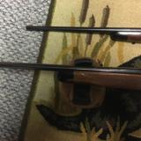 Kimber of Oregun Superamerica - 8 of 9