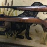 Kimber of Oregun Superamerica - 7 of 9