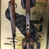 Kimber of Oregun Superamerica - 3 of 9