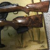 Kimber of Oregun Superamerica - 5 of 9