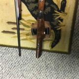 Kimber of Oregun Superamerica - 1 of 9