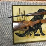 Kimber of Oregun Superamerica - 4 of 9