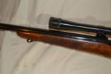 Winchester M-70 Varmint - 6 of 15