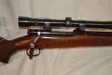 Winchester M-70 Varmint - 2 of 15