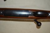 Winchester M-70 Varmint - 10 of 11