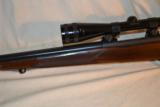 Winchester M -70 HD Varmint - Pre 64 - 3 of 15