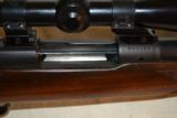 Winchester M -70 HD Varmint - Pre 64 - 6 of 15