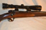 Winchester M -70 HD Varmint - Pre 64 - 9 of 15