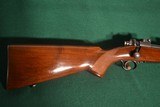Winchester M-70
.257 Roberts
Pre War (1939)
v - 5 of 12