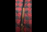 CAESAR GUERINI MAGNUS LIMITED - 10 of 13