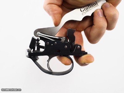 Giuliani specialty spring tool for Perazzi MX guns